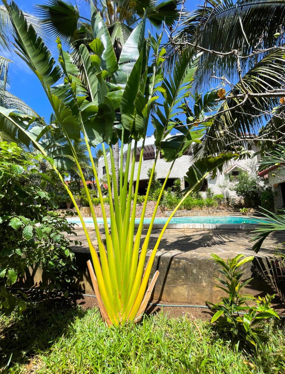 Tembo Village Watamu Eksteriør billede